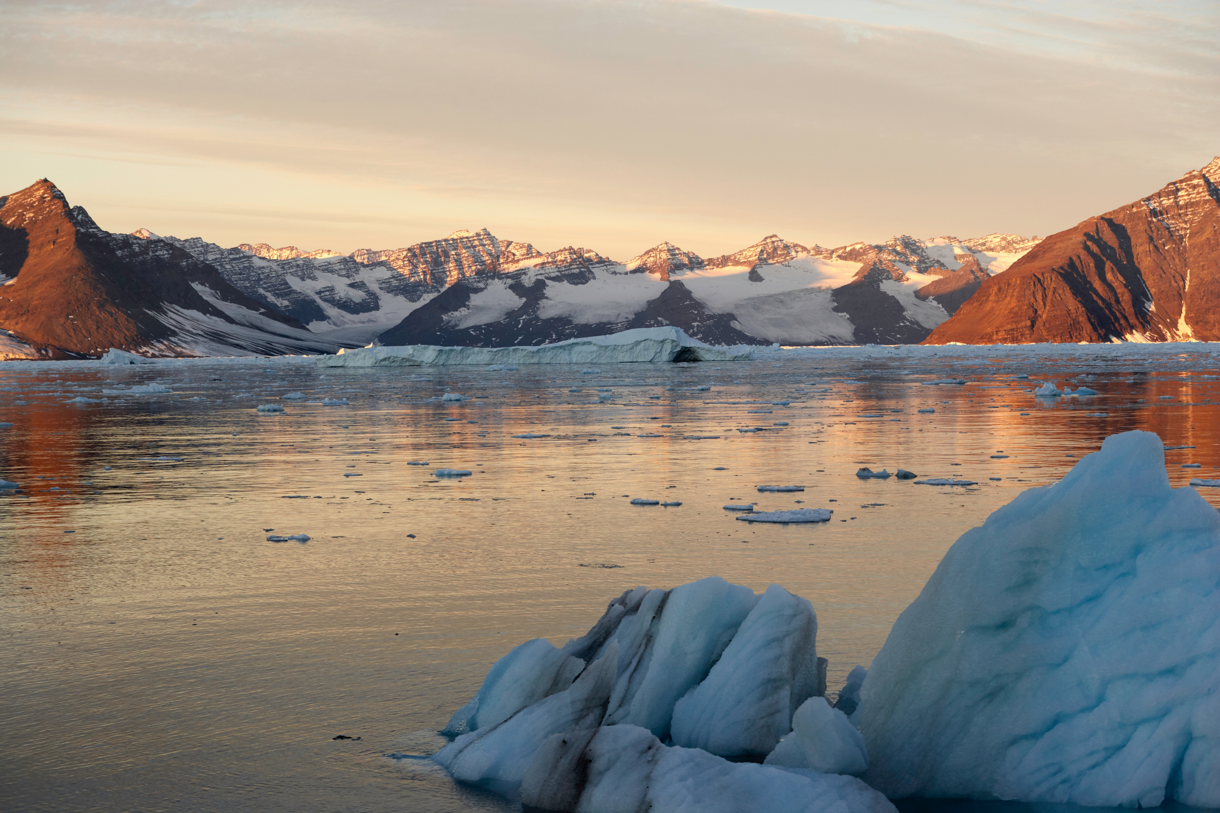 northeast greenland national park (2).webp